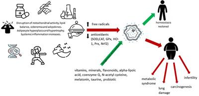 Is oxidative stress - antioxidants imbalance the physiopathogenic core in pediatric obesity?